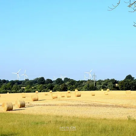 Kleine Schwalbe * Kabelhorst